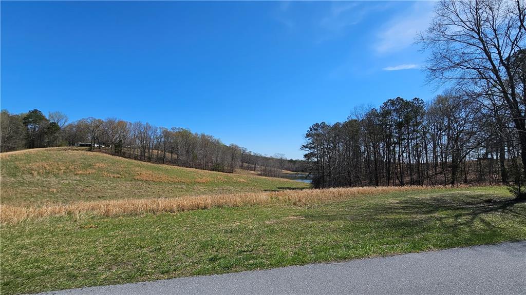 Lot 4 Snote Jones Road, Dallas, Georgia image 6