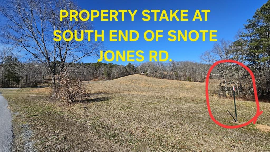 Lot 4 Snote Jones Road, Dallas, Georgia image 4