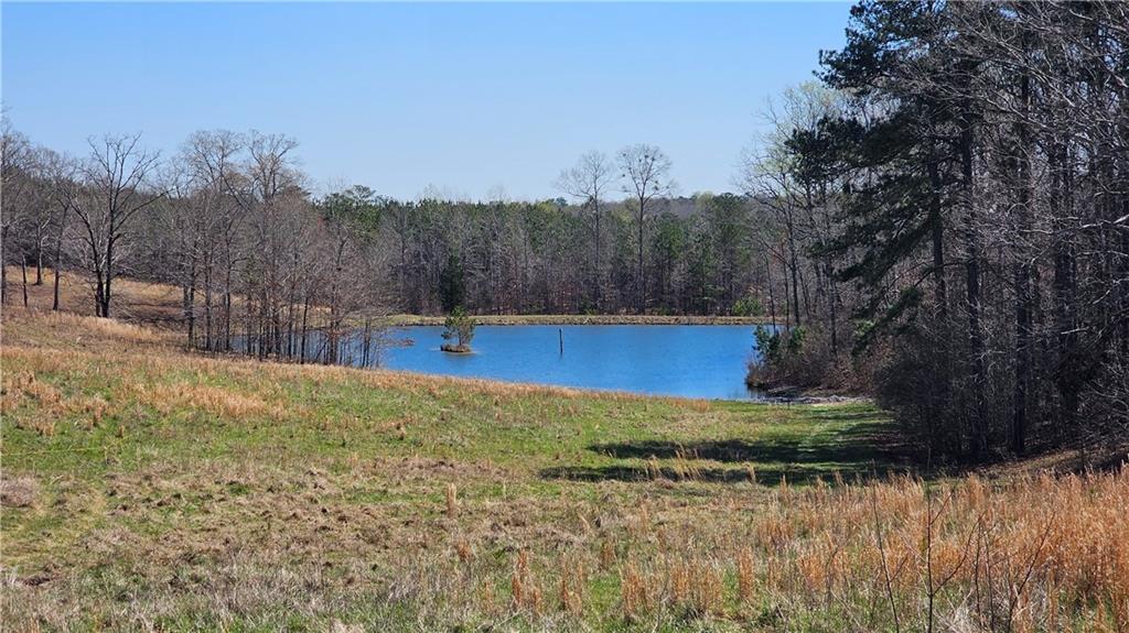 Lot 4 Snote Jones Road, Dallas, Georgia image 9