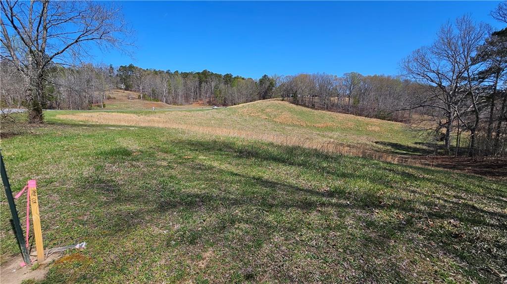 Lot 4 Snote Jones Road, Dallas, Georgia image 7