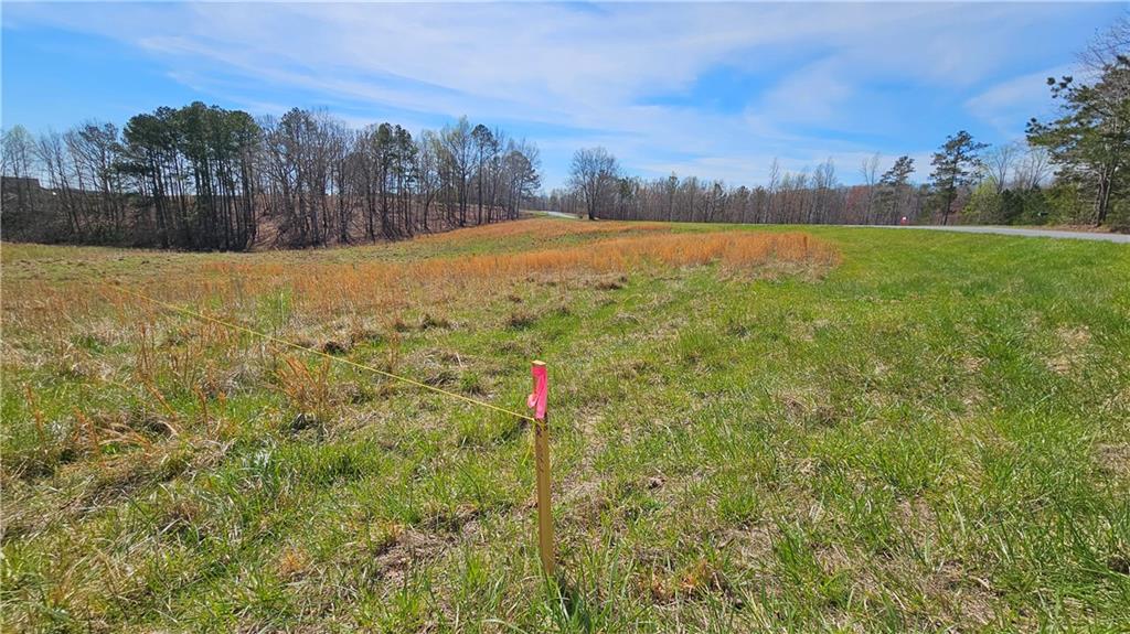 Lot 4 Snote Jones Road, Dallas, Georgia image 10