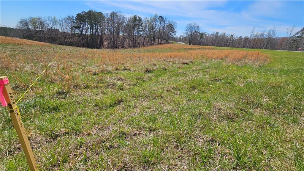 Lot 4 Snote Jones Road, Dallas, Georgia image 11