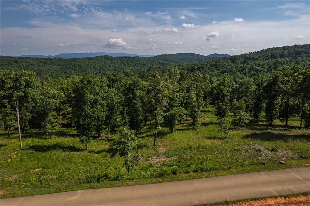 Haven Way, Blue Ridge, Georgia image 2