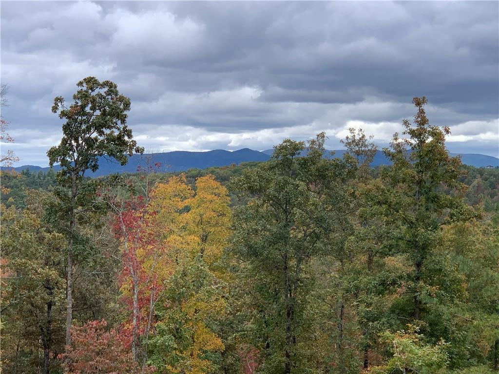 Haven Way, Blue Ridge, Georgia image 14