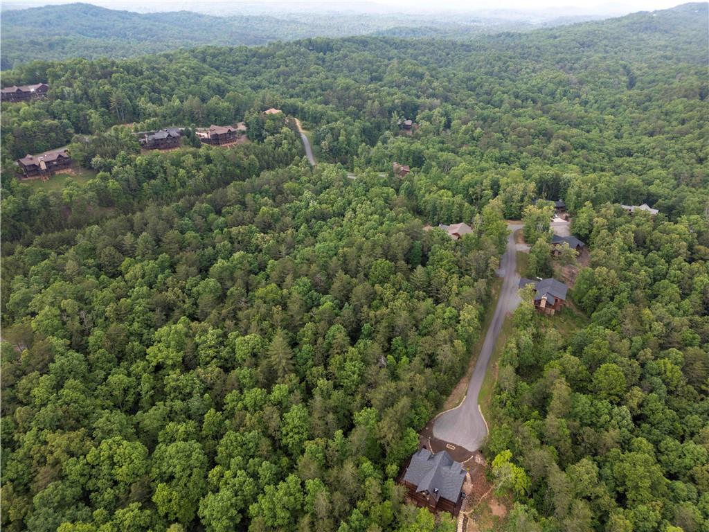 Lenox Trace, Mineral Bluff, Georgia image 6