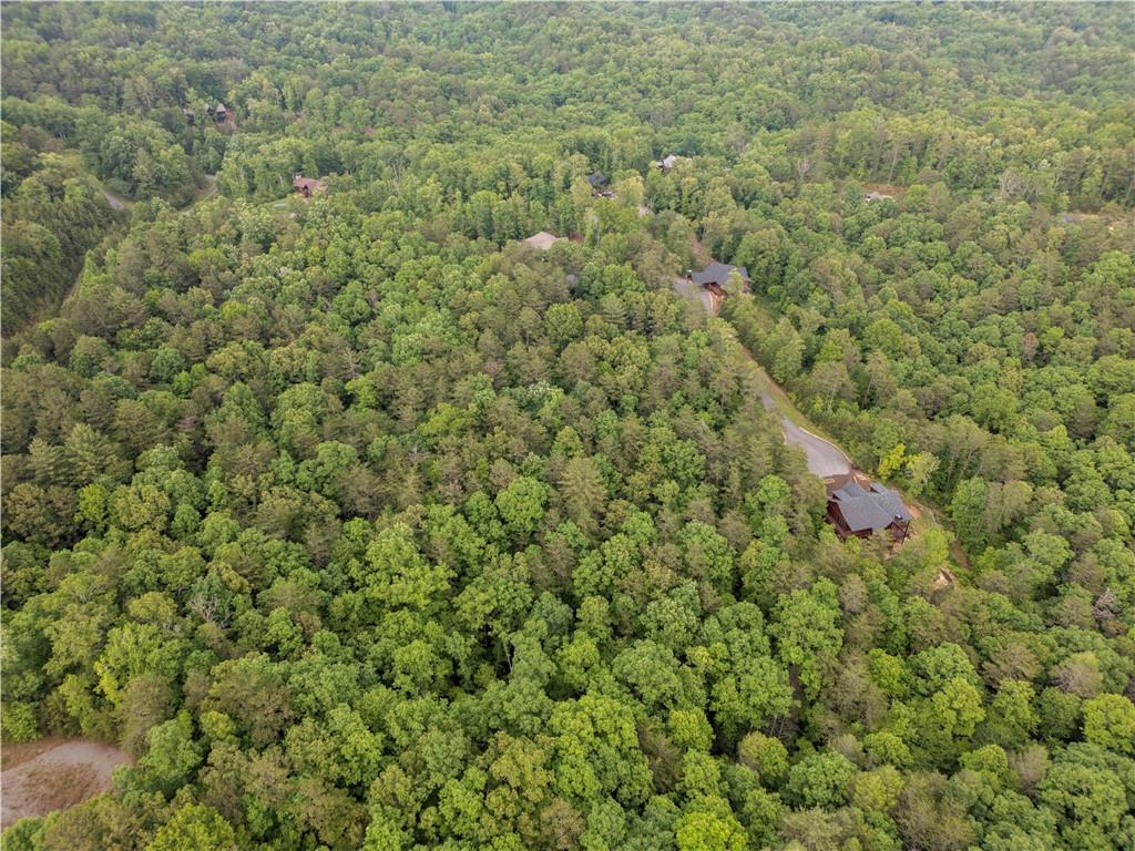 Lenox Trace, Mineral Bluff, Georgia image 4