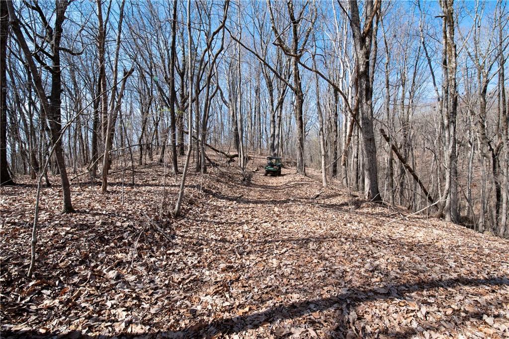 42.65 Acres Mincie Mountain