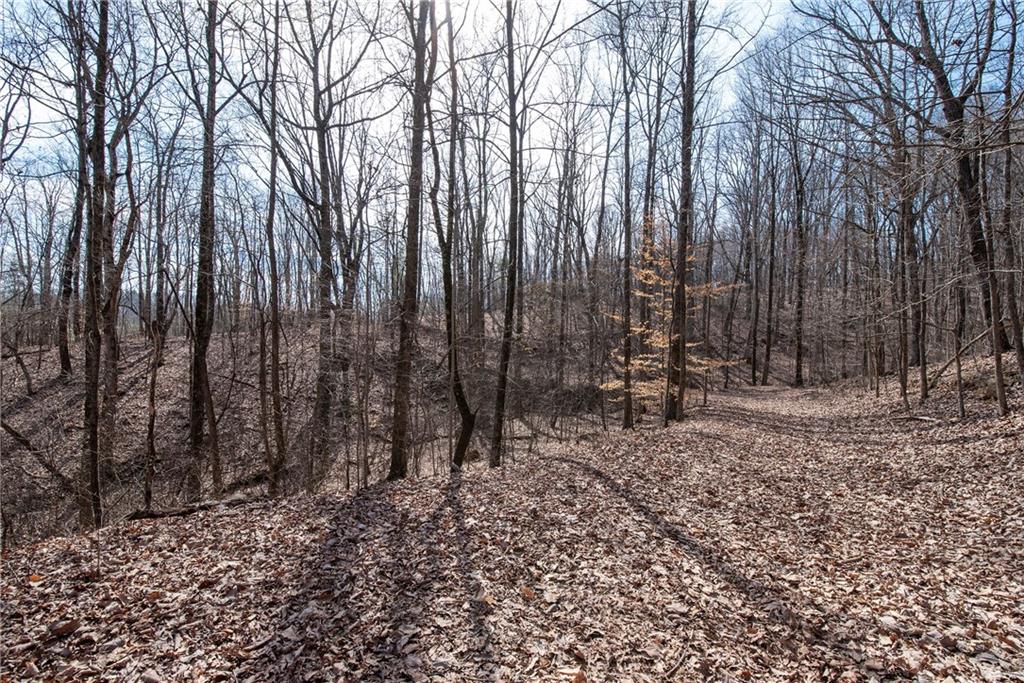 42.65 Acres Mincie Mountain