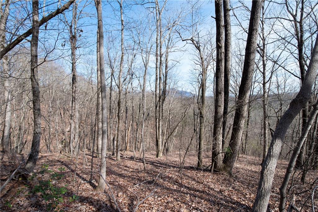 42.65 Acres Mincie Mountain