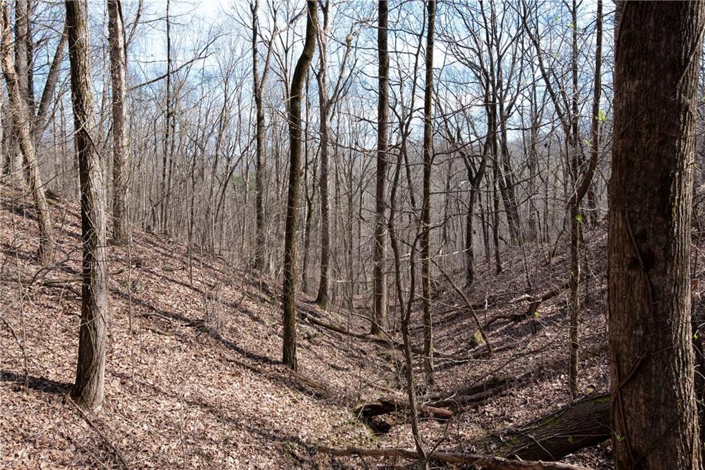 42.65 Acres Mincie Mountain