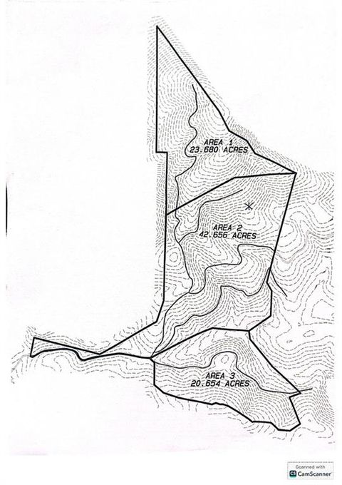 42.65 Acres Mincie Mountain Murrayville GA 30564