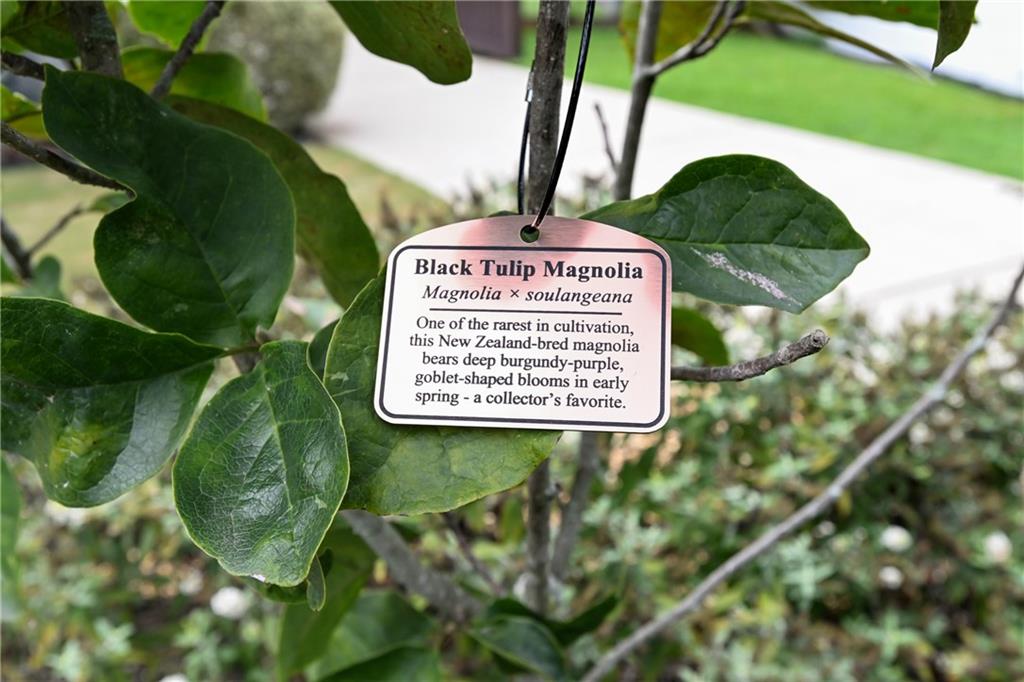 Peachtree Hills - Residential