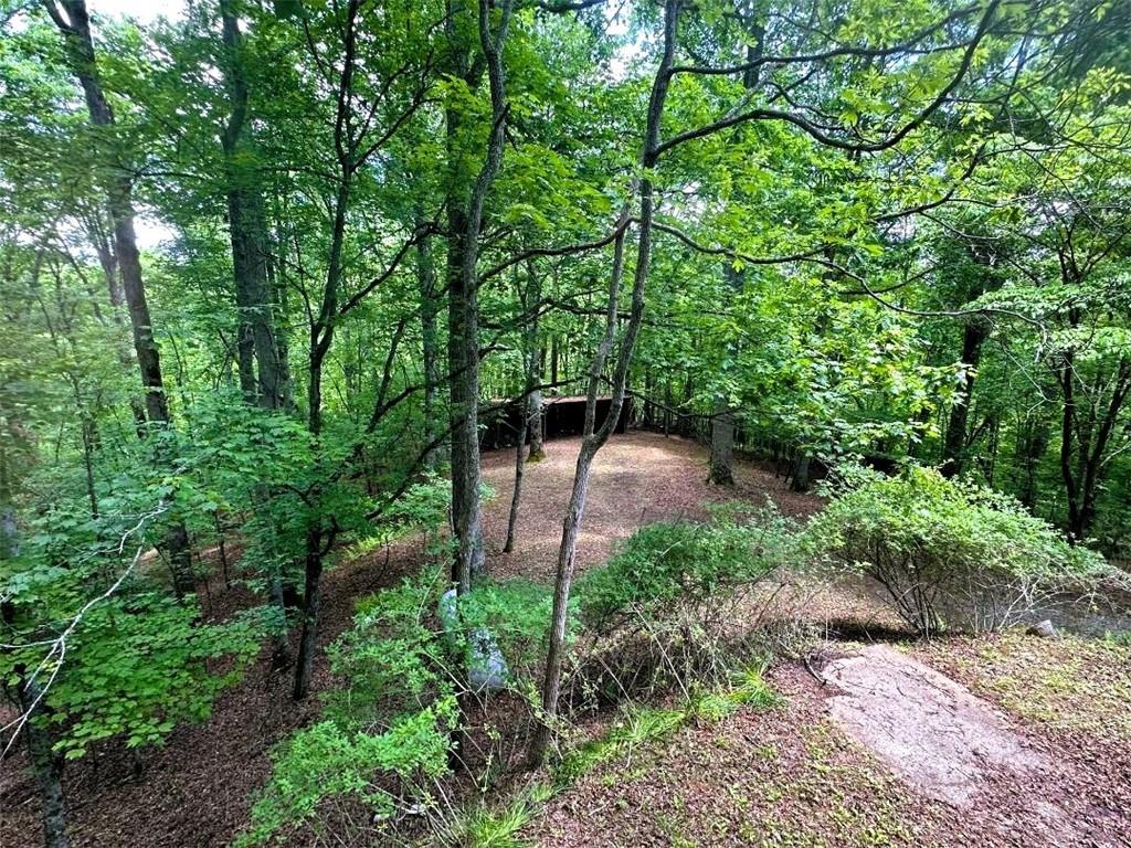 5077 Ada Street, Blue Ridge, Georgia image 23