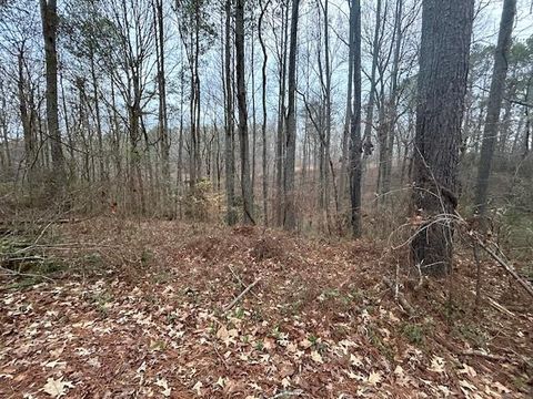 1089 Damascus Drive Ball Ground GA 30107