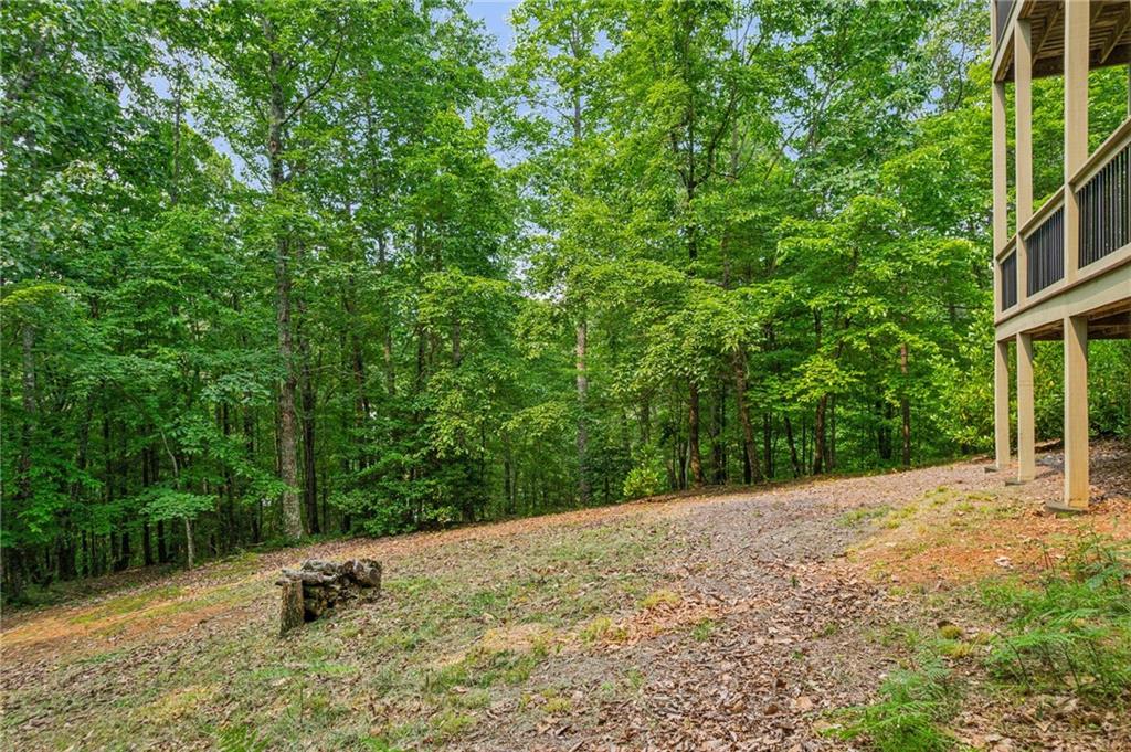 650 Wildcat Trail, Big Canoe, Georgia image 46