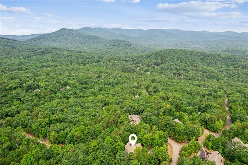 650 Wildcat Trail, Big Canoe, Georgia image 6