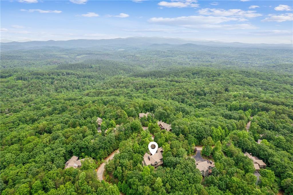 650 Wildcat Trail, Big Canoe, Georgia image 7