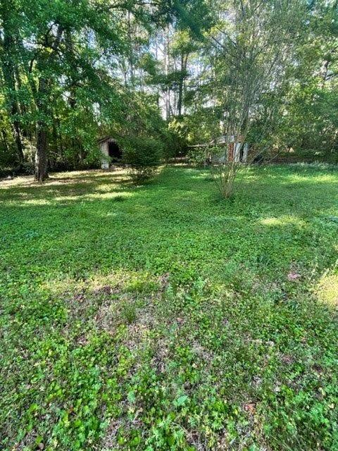 61 Kathy Lane, Temple, Georgia image 4