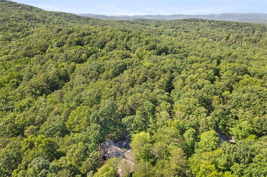 144 Canacaught Place, Jasper, Georgia image 49