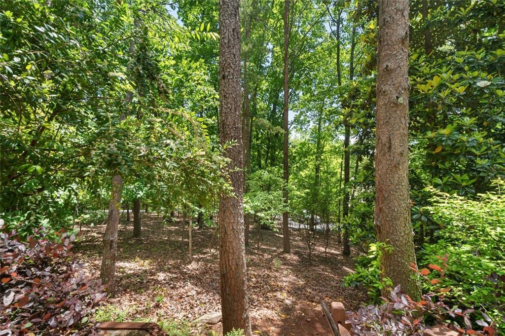 144 Canacaught Place, Jasper, Georgia image 37