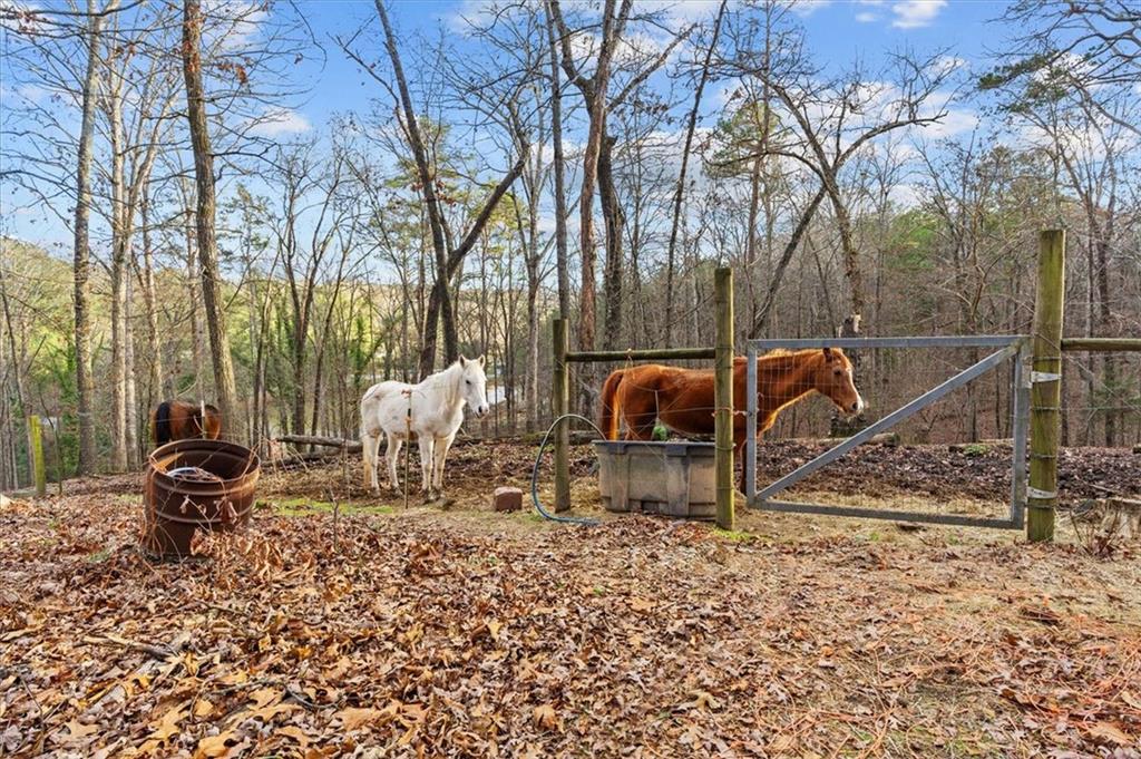 420 Long Hollow Road, Rock Spring, Georgia image 11