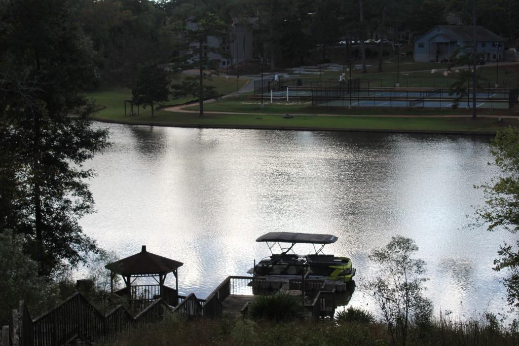 867 Bear Creek Point
