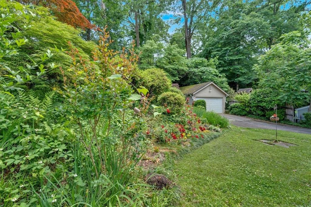 251 Beverly Road, Atlanta, Georgia image 7