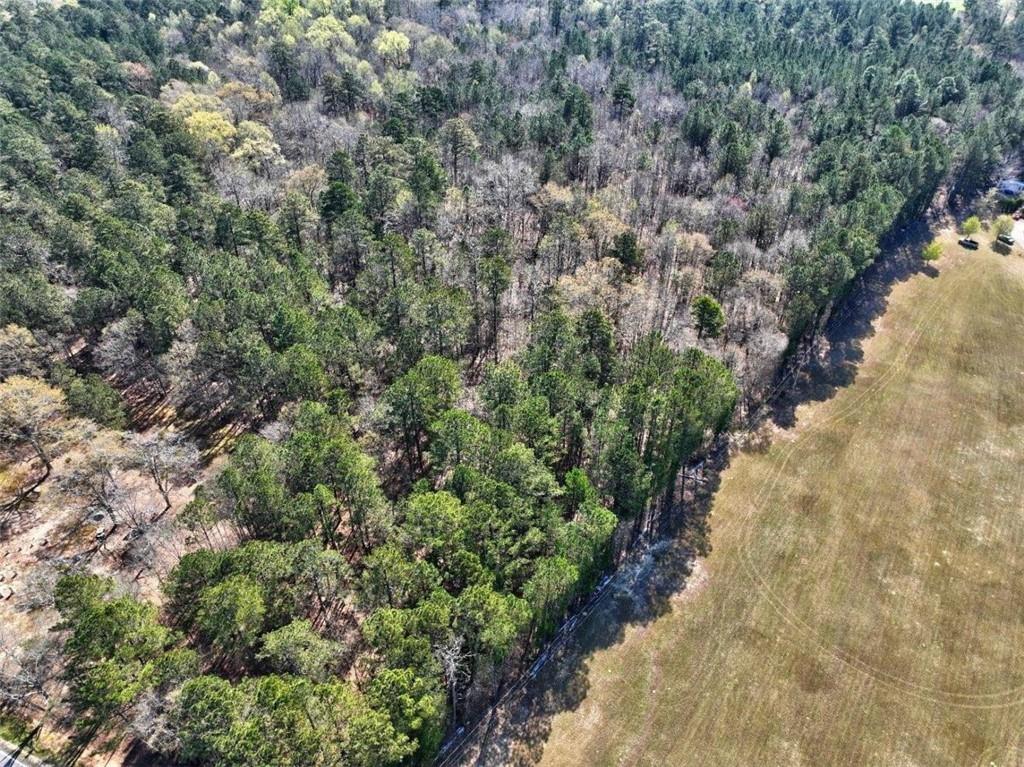 205 Highway 186 Tract 2, Good Hope, Georgia image 7