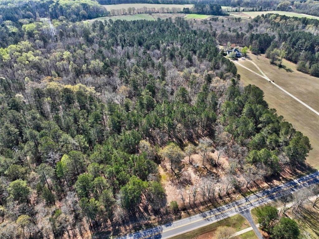 205 Highway 186 Tract 2, Good Hope, Georgia image 3