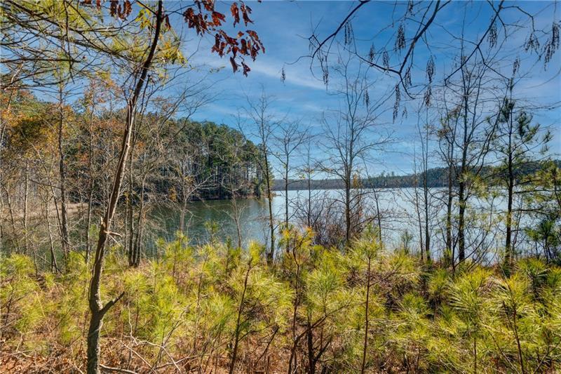 697 Moccasin Gap Road