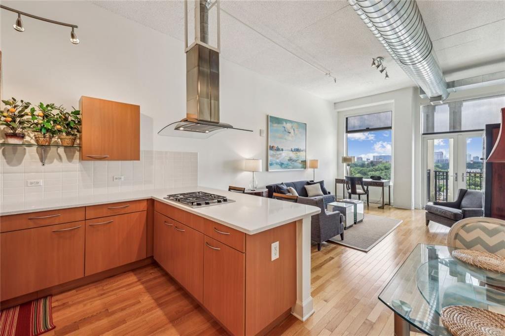 3820 Roswell Road NE 1004