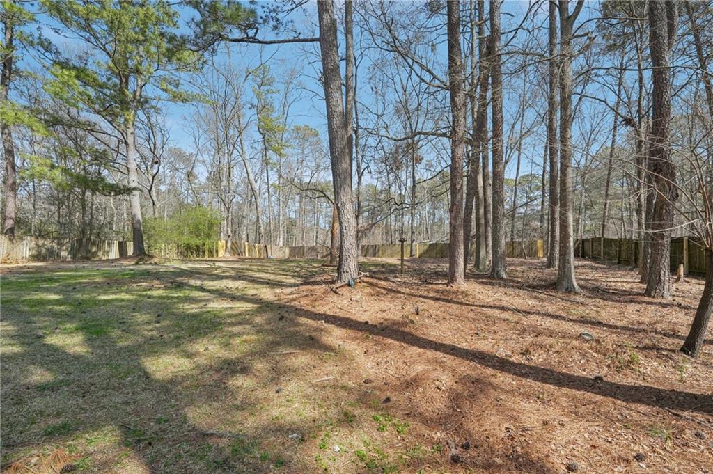 489 Natasha Drive, Auburn, Georgia image 38