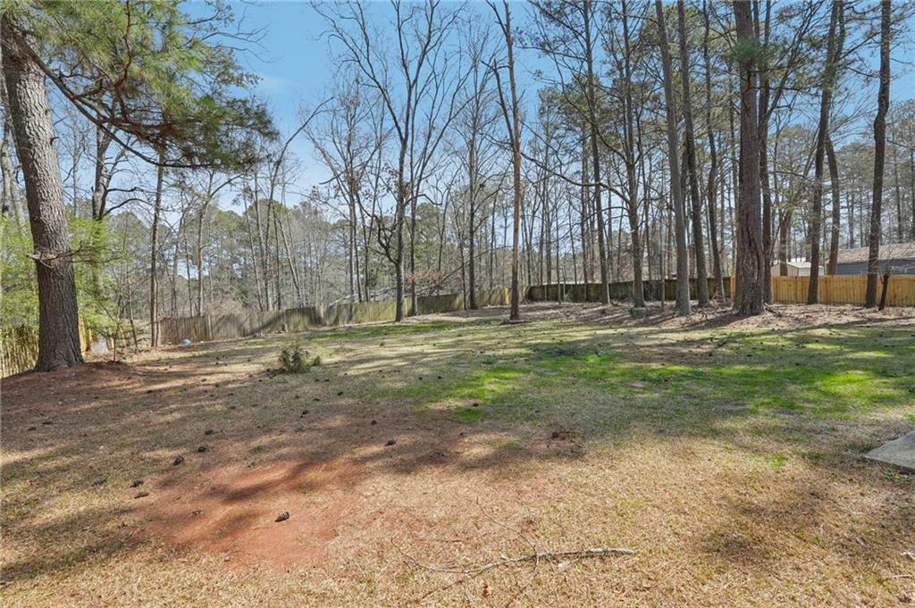 489 Natasha Drive, Auburn, Georgia image 40