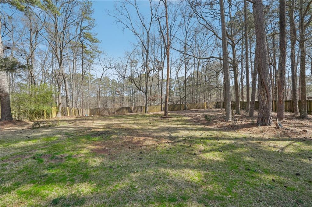 489 Natasha Drive, Auburn, Georgia image 39