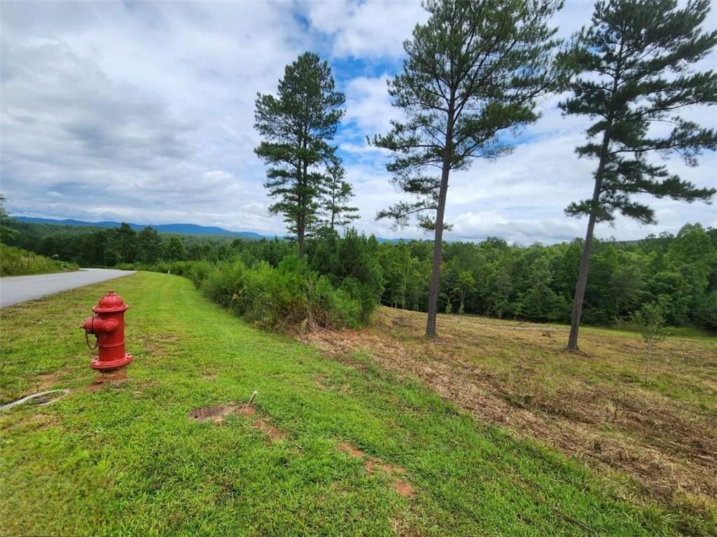 L231 Ridge Point, Blairsville, Georgia image 11