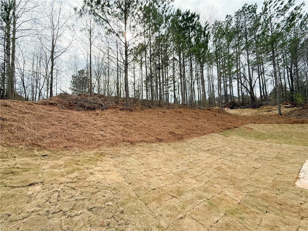 120 Cedar Cliff Court, Temple, Georgia image 48