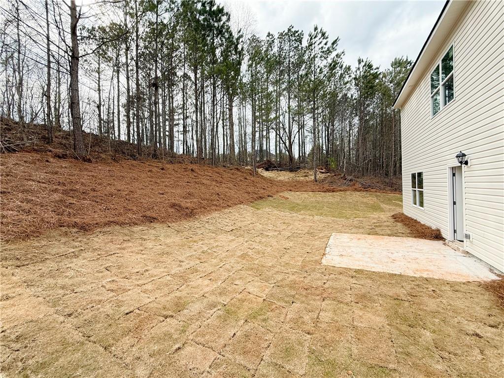 120 Cedar Cliff Court, Temple, Georgia image 46