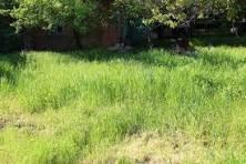2628 AMBERLY Drive