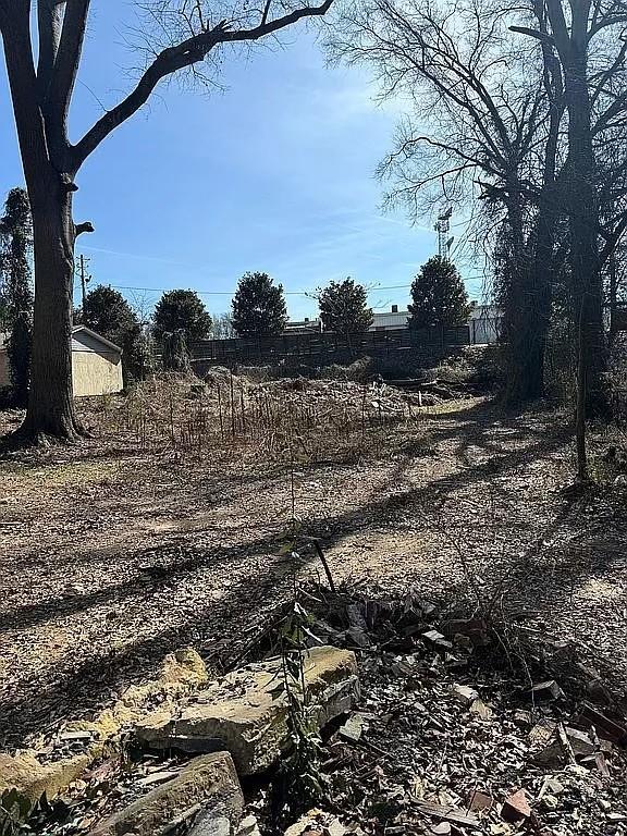 209 Fairview Drive, Fairburn, Georgia image 2