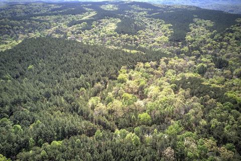 Unimproved Land in Rydal GA 5 Johnson Mountain Road.jpg