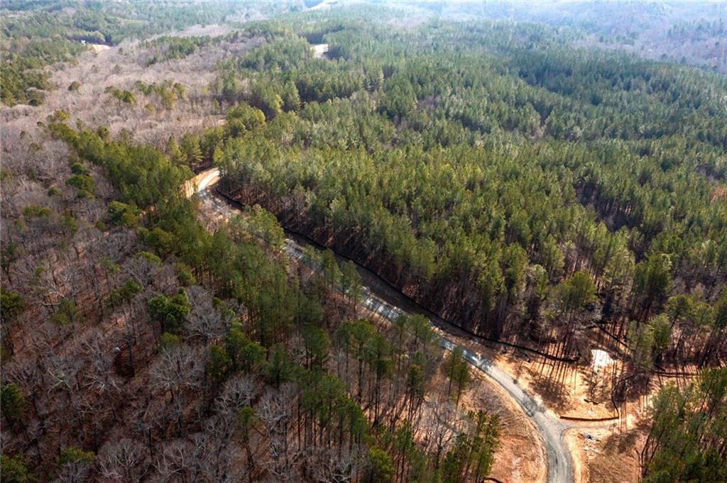 #3 Lone Bear Path Path, Dallas, Georgia image 8