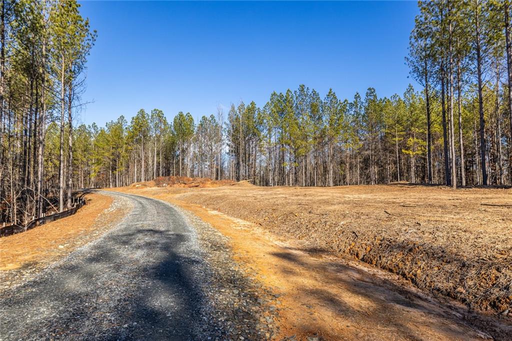 #3 Lone Bear Path Path, Dallas, Georgia image 5
