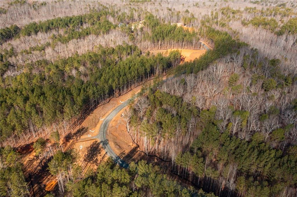 #3 Lone Bear Path Path, Dallas, Georgia image 11