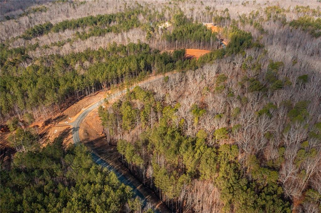 #3 Lone Bear Path Path, Dallas, Georgia image 10