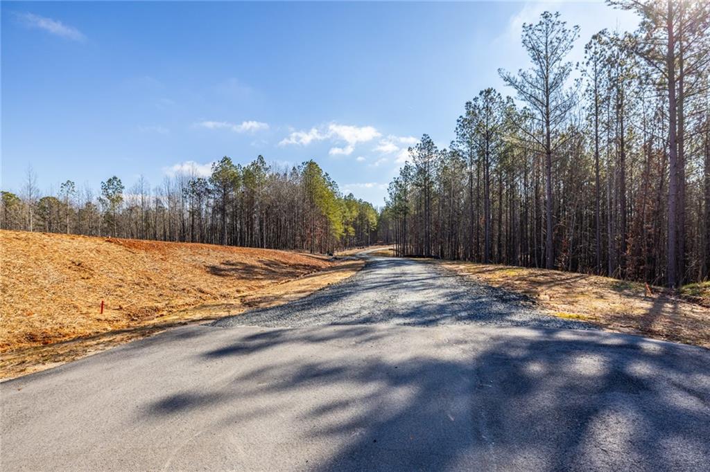 #3 Lone Bear Path Path, Dallas, Georgia image 3