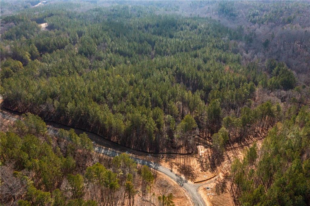 #3 Lone Bear Path Path, Dallas, Georgia image 7