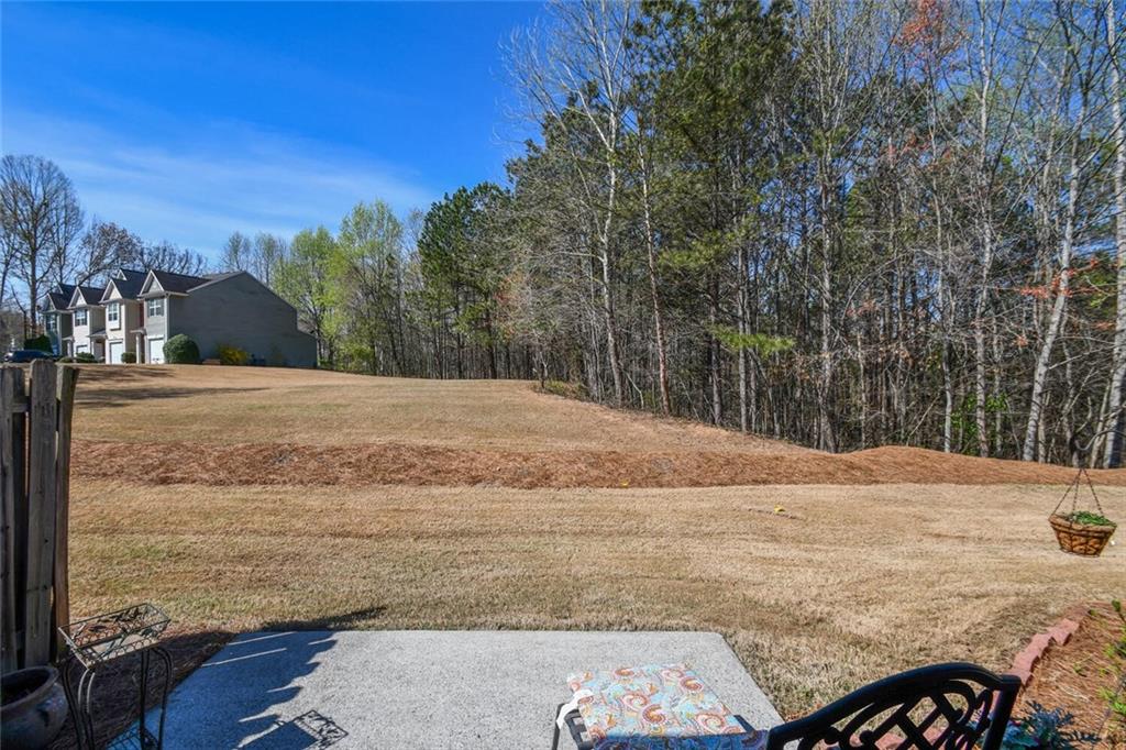 904 Magnolia Leaf Drive, Woodstock, Georgia image 40