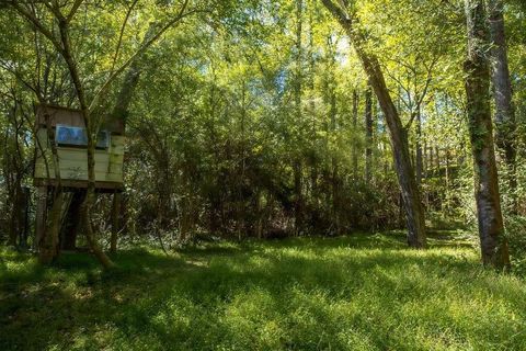 A home in Gainesville