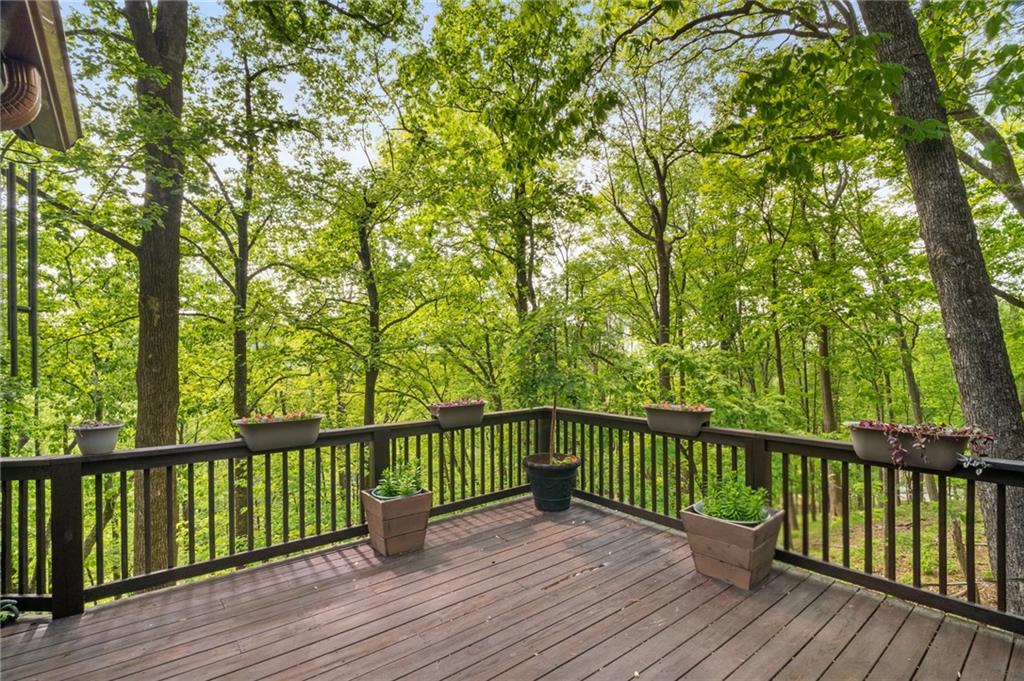 334 Little Pine Mountain Road, Jasper, Georgia image 40