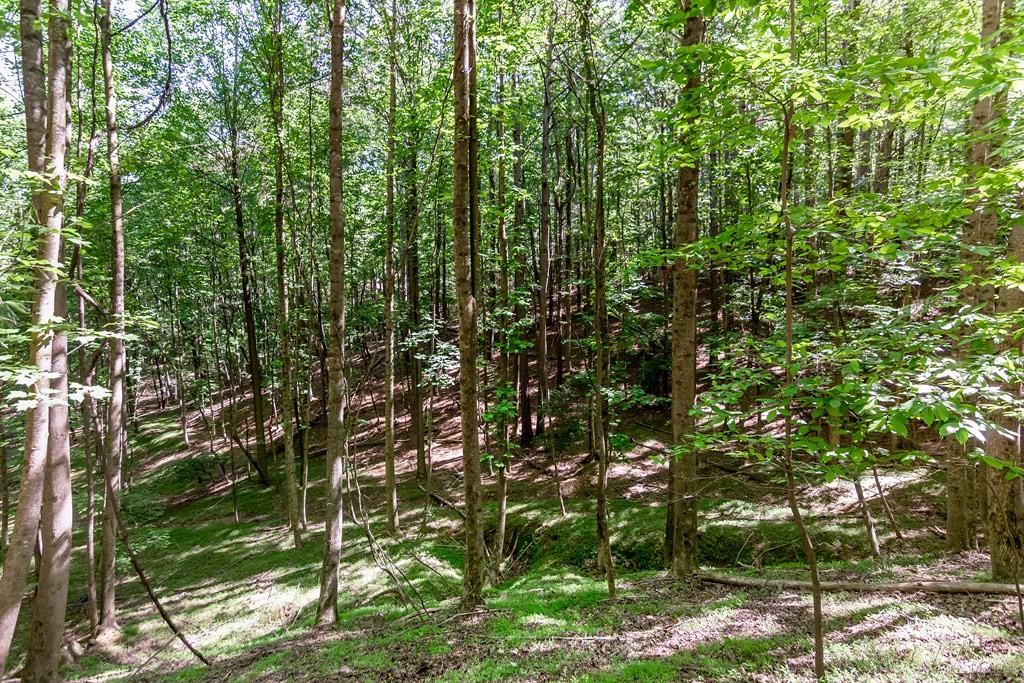 Lot 26 Estates Drive